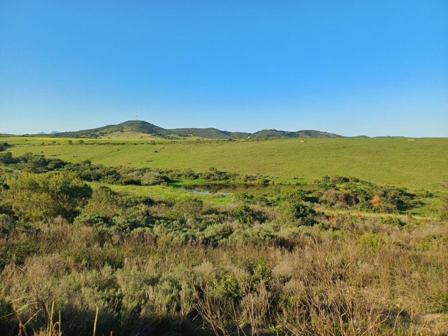 Commercial Property for Sale in Hartenbos Rural Western Cape